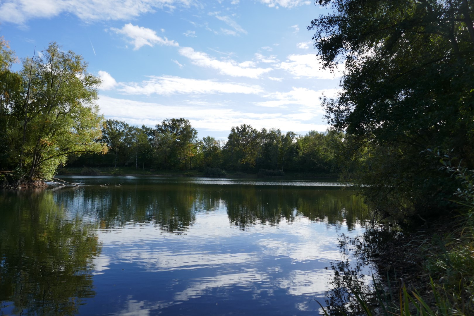 placeholder image-sq