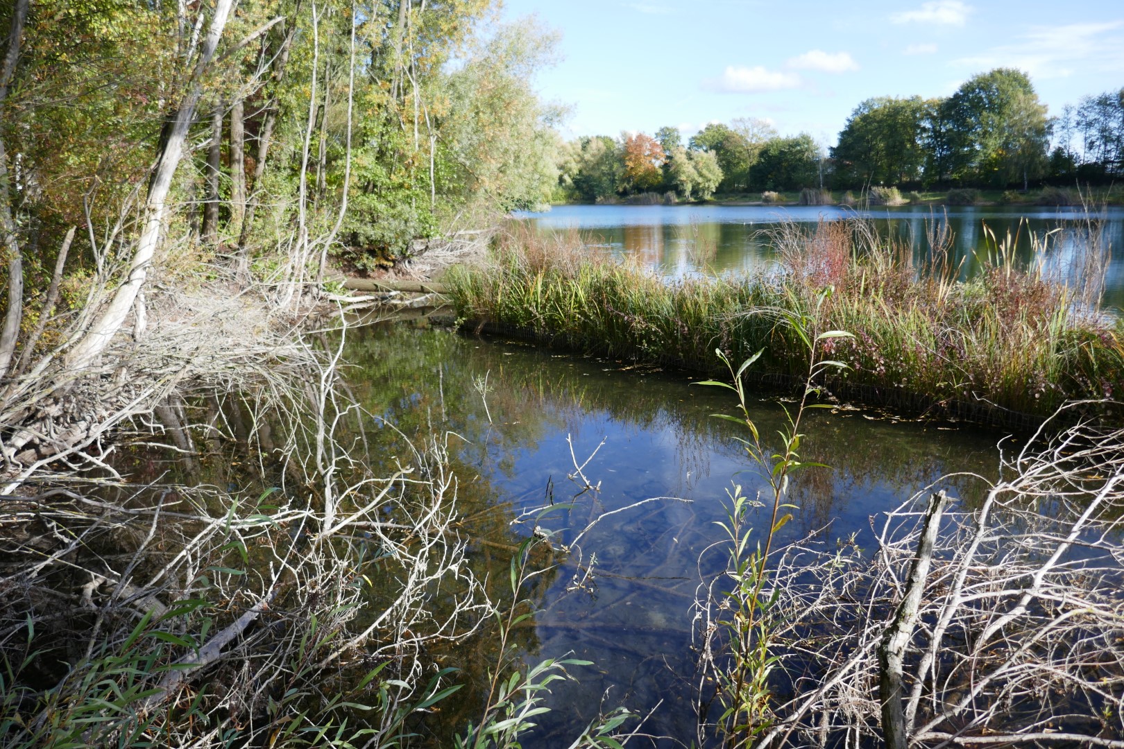 placeholder image-sq