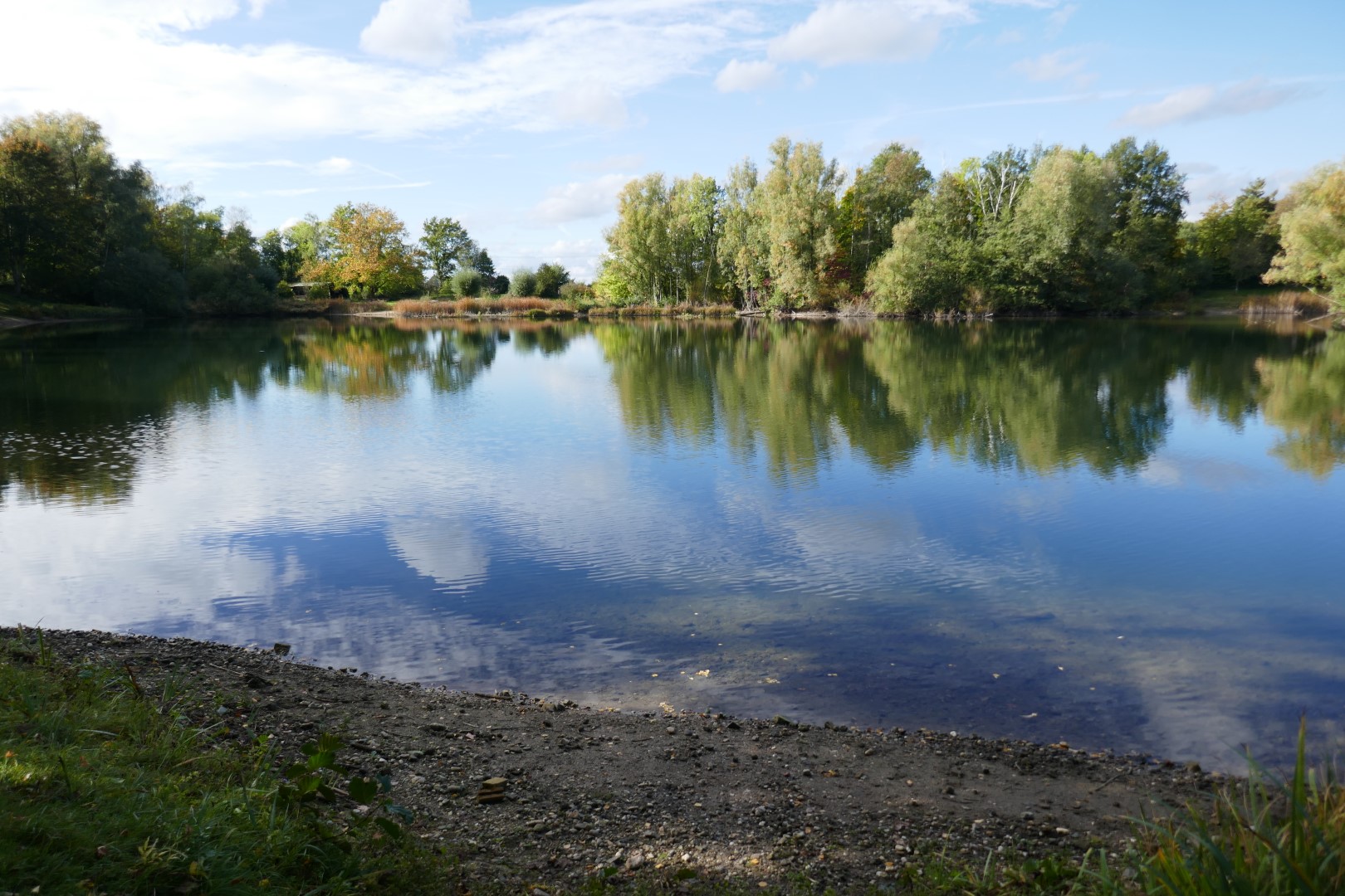 placeholder image-sq