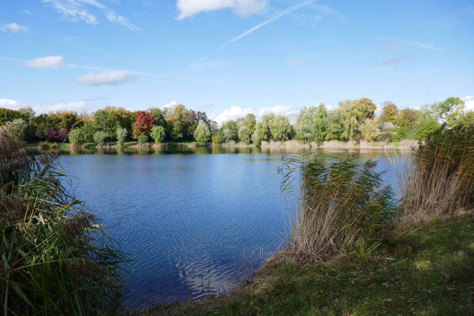 placeholder image-sq