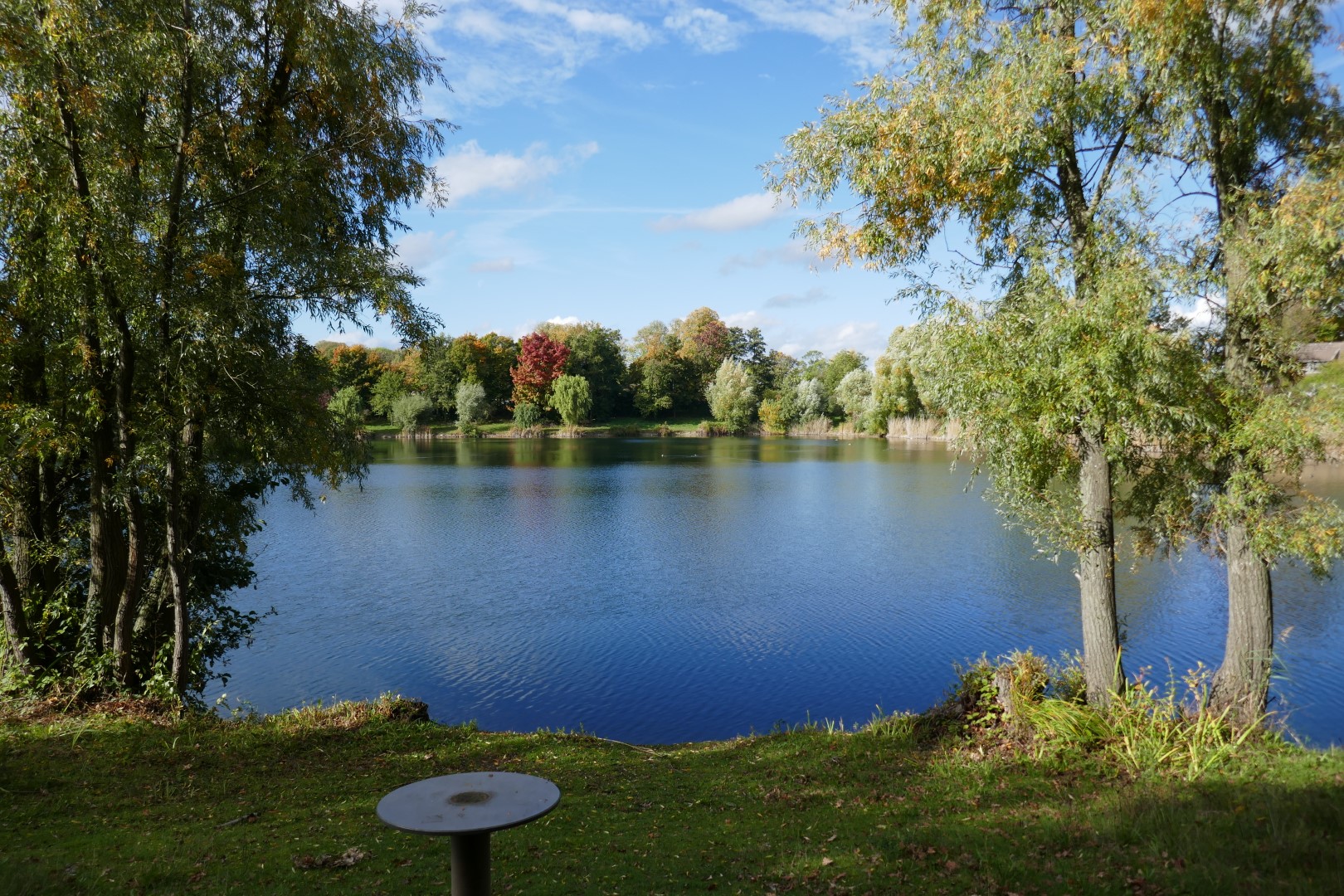 placeholder image-sq