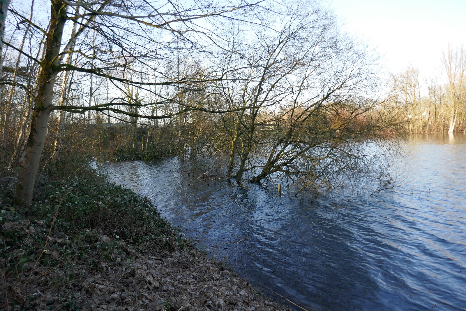 placeholder image-sq