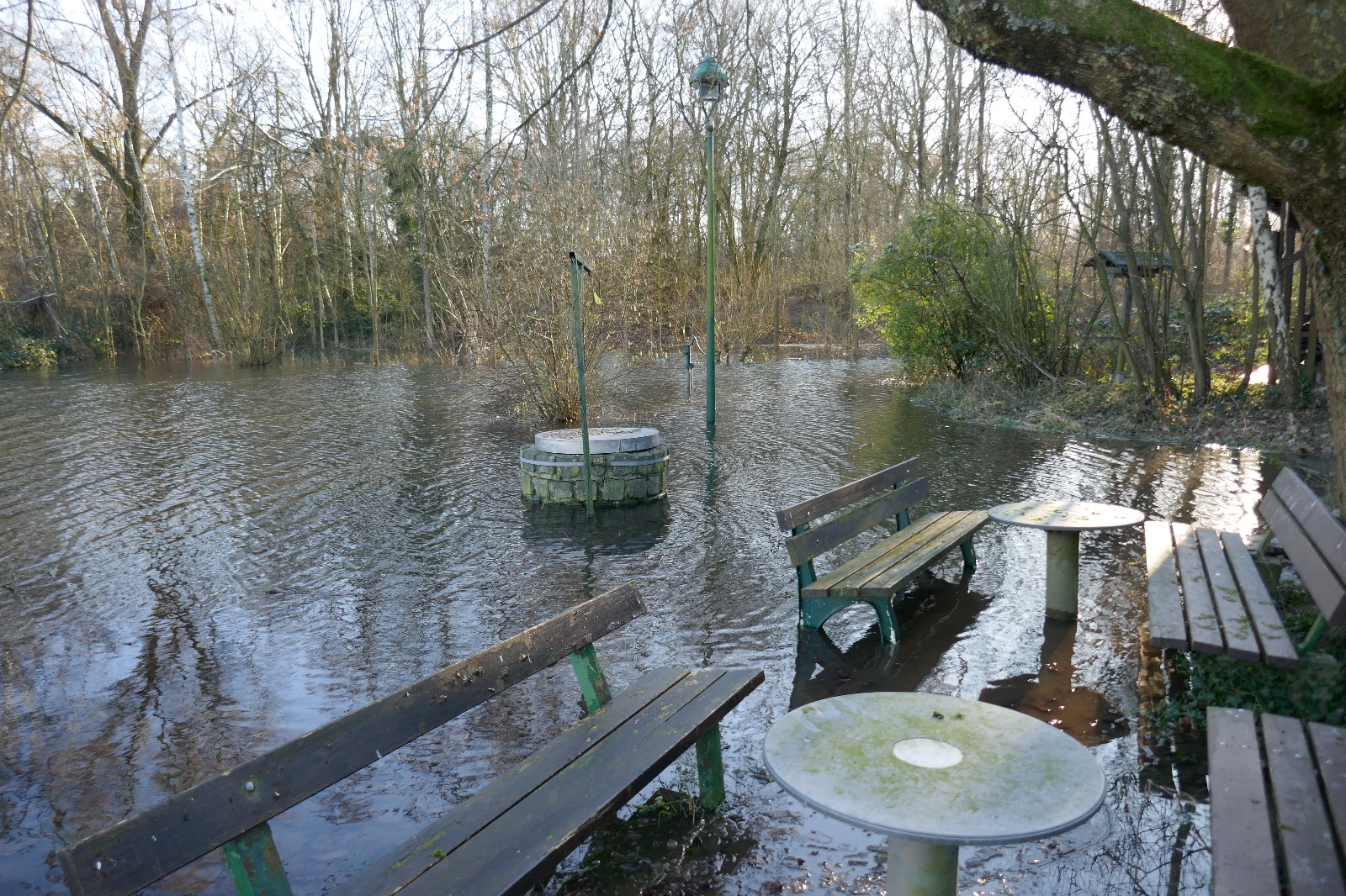 placeholder image-sq